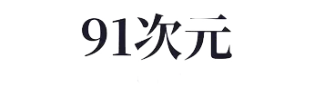 91次元标识